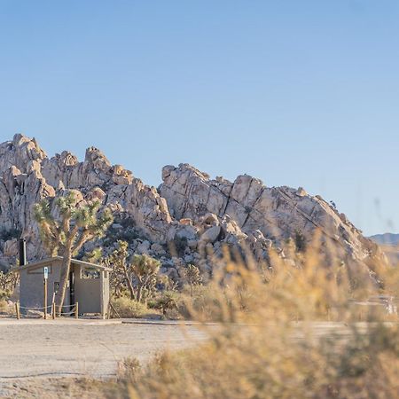 New Property! The Cactus Villas At Joshua Tree National Park - Pool, Hot Tub, Outdoor Shower, Fire Pit Twentynine Palms Exterior foto